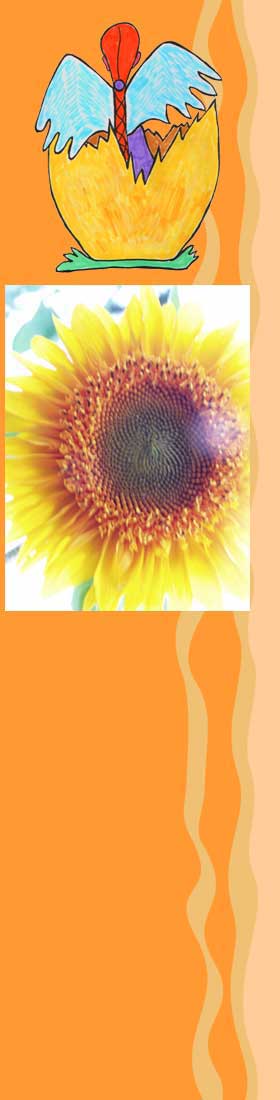 lass der Seele Fl&uuml;gel wachsen